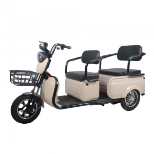 3 Wheel Cargo and Passenger Electric Tricycles for Elderly