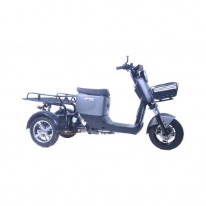 Long Range E-Motors Fast Food Delivery Cargo Electric tricycle