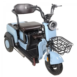 Tricycle électrique pour personnes âgées à 3 roues Cargo haute performance