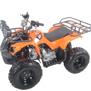 2023 nowy typ Cena fabryczna 200cc ATV czterokołowy elektryczny ATV elektryczny ATV