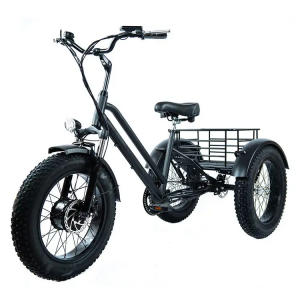 Fashionable Appearance 20inch Cargo Electric Tricycle Fat Tire