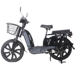 Xe đạp điện Hai bánh bán chạy 500W Phổ biến