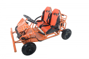 High Quality Children’s Track Double Electric Kart