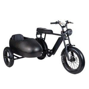 Ny E-sykkel Fat Tire Elektrisk trehjulssykkel med sidesete