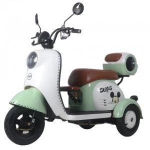 Hot Sell electric tricycles for 2 Adults 500w motor