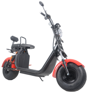 Motocicletta elettrica Nuovo design prodotto in Cina1500W