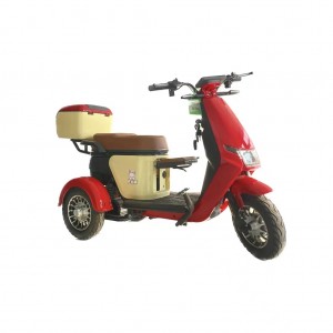 Electric Tricycle Mugadziri Ane Simba Smart 500W
