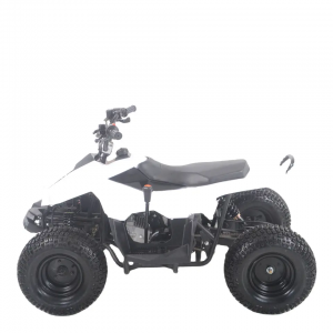 Merke Salmenta ATV ATV Quad Bike 48V20A
