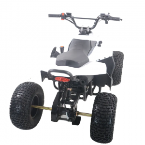 ርካሽ ሽያጭ ATV በ ATV Quad Bike 48V20A