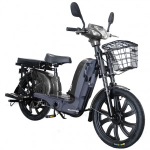 Electric Bicycle Two Wheel Hot Sale 500W Popular