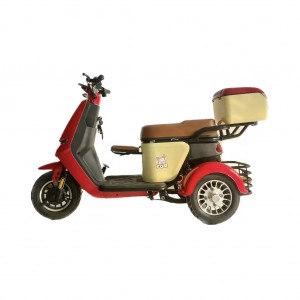 Electric Tricycle Manufacturer Powerful Smart 500W