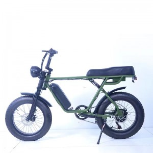 Intengiso eshushu 20 intshi Snow Electric Bike