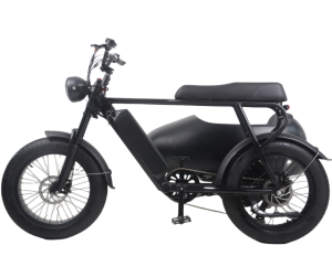 دراجة ثلاثية العجلات كهربائية جديدة بإطارات كبيرة من E-bike مع مقعد جانبي