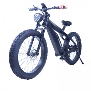 Bicicleta elétrica novo produto gordo Ebike quadro de fibra de carbono