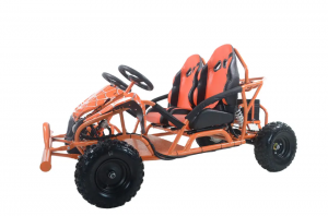 High Quality Children’s Track Double Electric Kart
