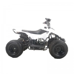 Fornecimento de fábrica 4 rodas 110cc ATV