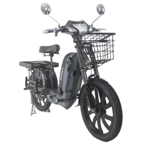 Xe đạp điện Hai bánh bán chạy 500W Phổ biến