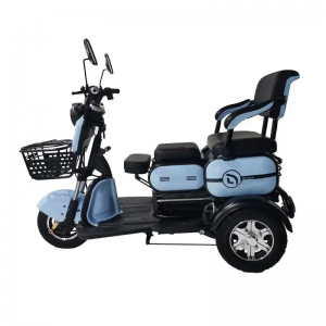 New Desigh 600W Electric Tricycle With High Quality