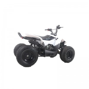 Factory Supply 4 Wheels 110cc ATV