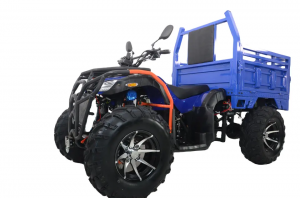 Four Wheel ATV 250cc with A Cargo