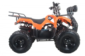 2023 புதிய வகை தொழிற்சாலை நேரடி விலை 200cc ATV நான்கு சக்கர மின்சார ATV மின்சார ATV