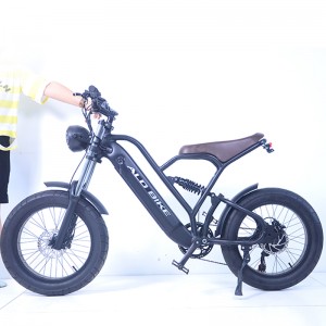 Produttore di biciclette elettriche con batteria da 48 V