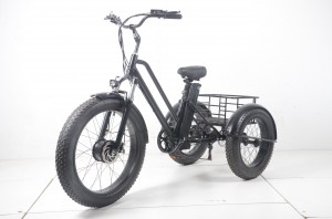 20inch Cargo Elettricu Triciclu Elettricu Fat Tire Motocicletta Triciclu Elettricu