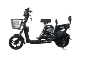 Penjualan panas pabrik sepeda listrik e-bike murah baja karbon 48V