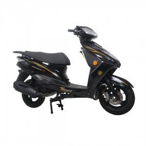 Simple Appearance 1200W High Quality Electric Motorcycle