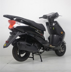 Custom High Quality 10inch Motors Adults 2 Wheel Scooter Motorcycle