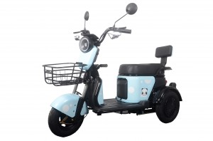 New producing electric tricycle for 2 adults 500w Motor Lead acid battery