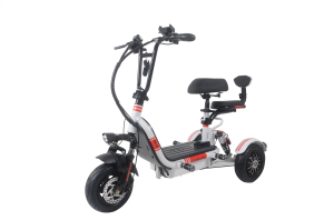 Heißer Verkauf Qualität 48V Elektrisches Dreirad Für Zwei Personen Vakuum Reifen Hinten Trommel Bremse Elektrische Roller Dreirad