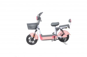 Bicicletta elettrica 48V e-bike economica in acciaio al carbonio di vendita calda in fabbrica