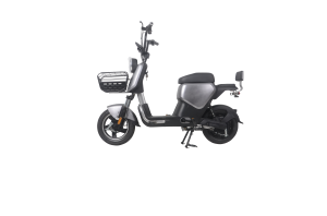 Electric Motorcycle New Model  Cheap Moped  for adult