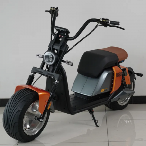 ឃ្លាំងអ៊ឺរ៉ុប EEC Scooter Electric Adult Electric Motorcycle two wheel