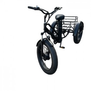 Special Designed Three Wheel Electric Tricycle Escooter With Big Basket  For Snow Field