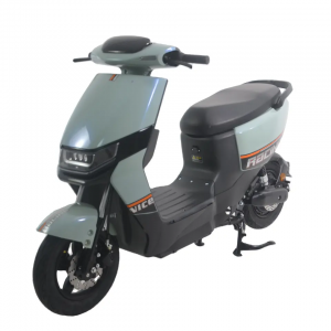 Factory Wholesale Electric City Bicycle 1000W Electric Motorcycles