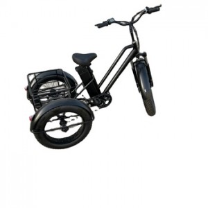 Escooter triciclo elettrico a tre ruote dal design speciale con grande cestino per campo innevato
