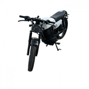 Retro Motorize Electric Bike Ebike ኤሌክትሪክ ስኩተር ለአዋቂዎች ሁለት መቀመጫዎች ያለው