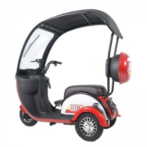 Newly Designed Cheap Three Wheel Electric Tricycle Electric Tricycle With Roof