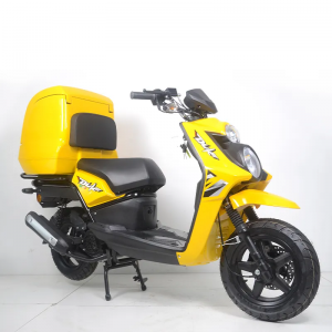 Motorcycle High Power 150cc Fuel Food Delivery