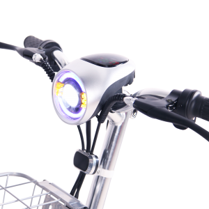 Bicycle Small America mankany amin'ny varavarana miforitra Batterie Ithium ray aman-dreny-zanaka bisikileta elektrika miaraka amin'ny zaza