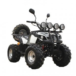 6 inch ATV off-road quads voor kinderen te koop