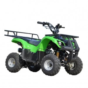 6 inch ATV Keɓaɓɓun Kekunan Quad na Yara na Kashe Hanya Na Siyarwa