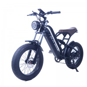 Electric Bike Factory Manufacturer with Battery 48V
