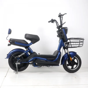 Newest style low price cycle electric 48v 60v e bike factory price bisiklêtên bargiran ên kargo du teker