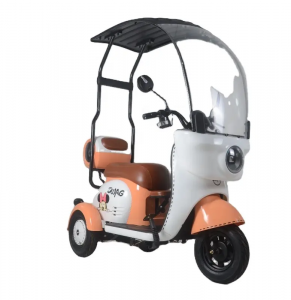 Neie Modell 3 Rieder elektresch Tricycle mat Daach fir Erwuessener Motor Saier Power Batterie
