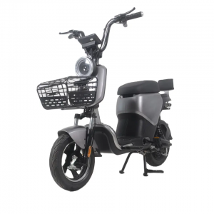 Vélo électrique à deux roues bien conçu, vélo électrique avec deux sièges pour le Transport quotidien