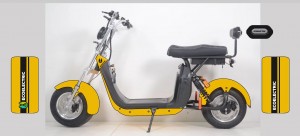 Electric motorcycle 1500w 2000w electronic scooter citycoco scooter with eec scooter EEC