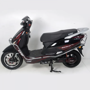 New design High quality e bike china manufacturer customized 10Ah electric bike 36V/48V